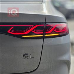 بي واي دي كوين L DM-i